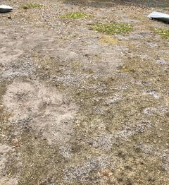 詳細はこちら